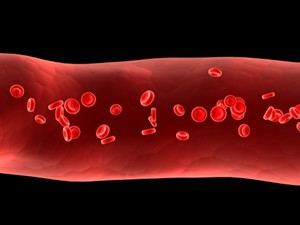 BBP blood vessel1 1